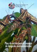 Action plan for managing the Central American locust