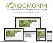Acridomorph species of Argentina and Uruguay