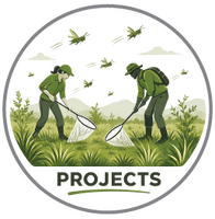 Explore by projects