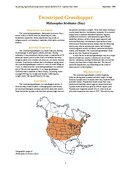 ARS species fact sheet Twostriped Grasshopper