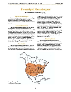 ARS species fact sheet: Two-striped grasshopperPDF · 4 pages · 186 KB