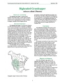 ARS species fact sheet Big-headed Grasshopper