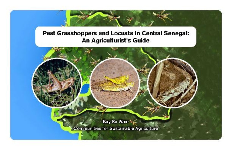 File:Pest Grasshoppers and Locusts in Central Senegal.pdf - HopperWiki
