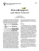 Grasshoppers and their control