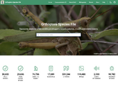 Orthoptera Species File Online