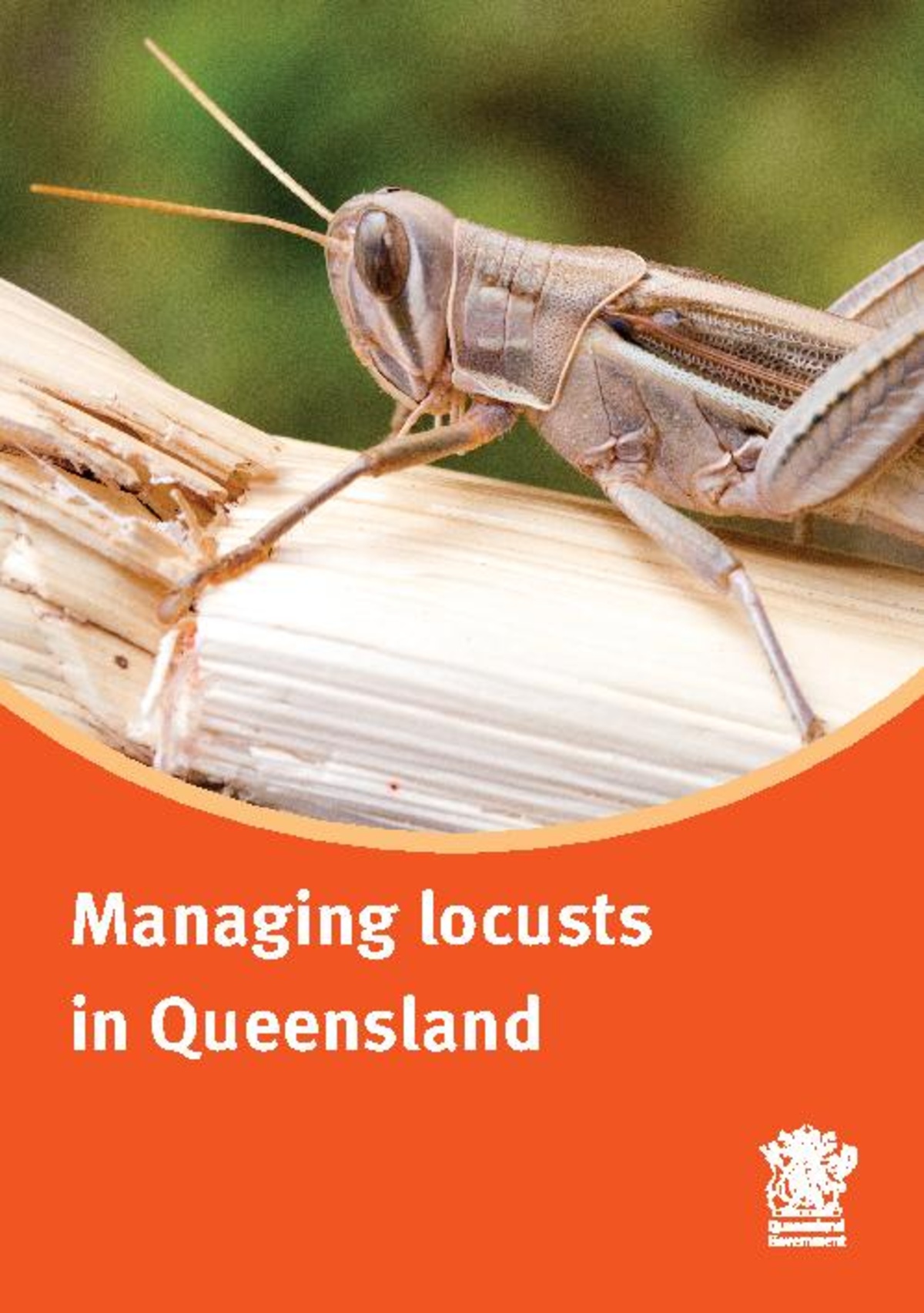 Managing locusts in Queensland - HopperWiki