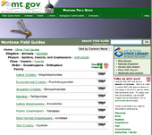 Montana.gov Orthoptera Field Guides