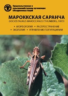 Dociostaurus maroccanus Monograph