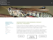 Idaho Grasshopper and Mormon Cricket Control Program