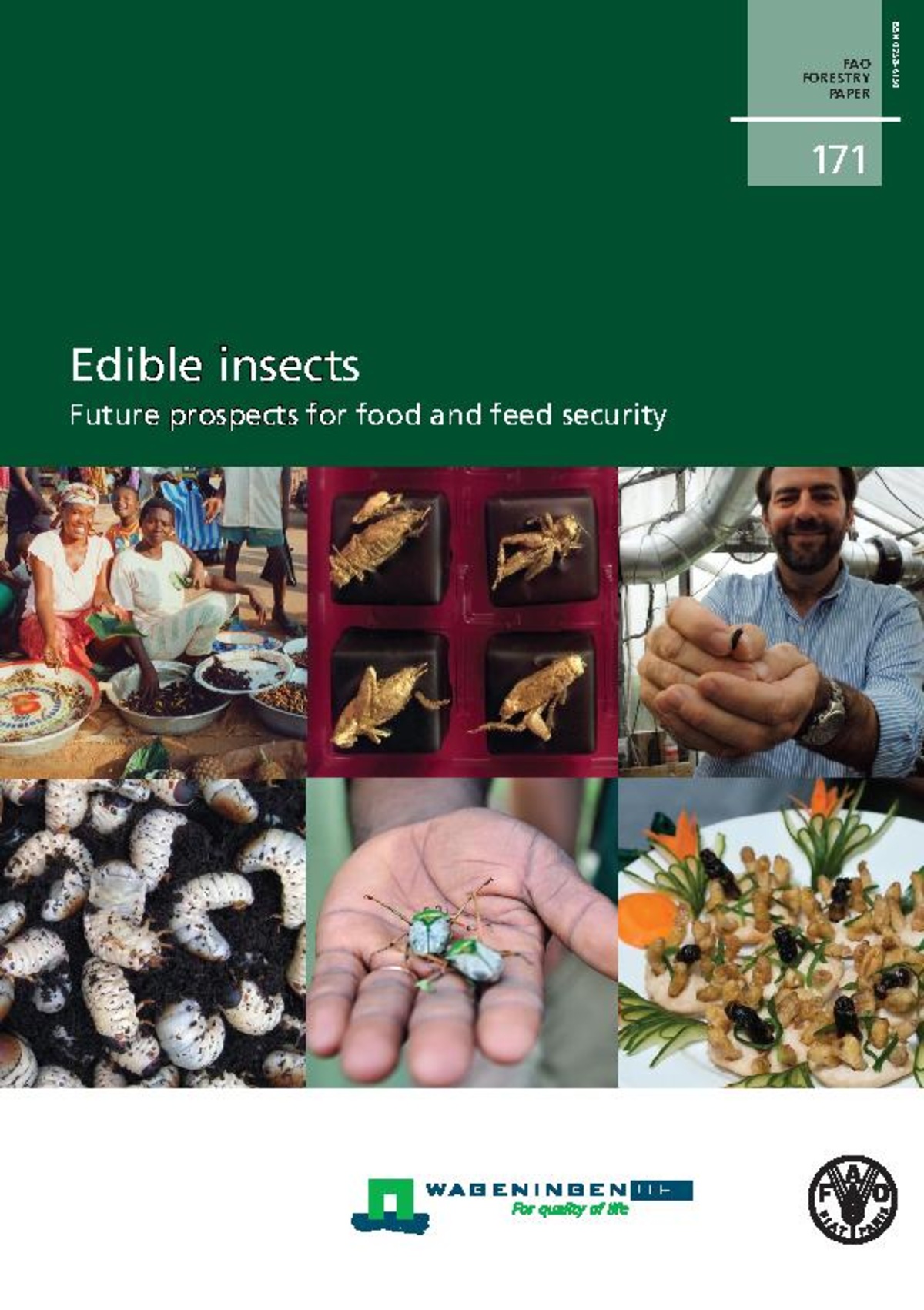 File:Edible insects Future prospects for food and feed security.pdf ...